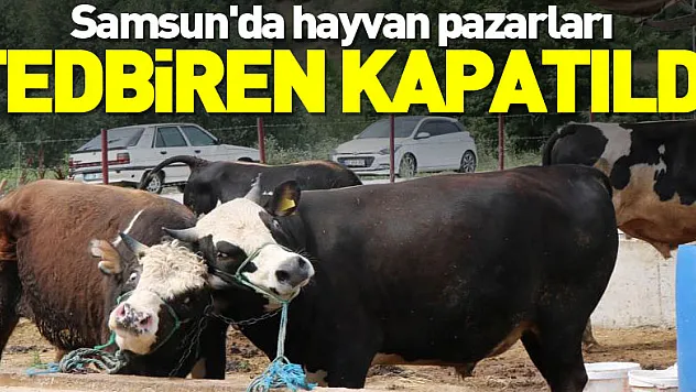 Samsun'da hayvan pazarları tedbiren kapatıldı, 'SAT-2' tipi şap hastalığına rastlanmadı