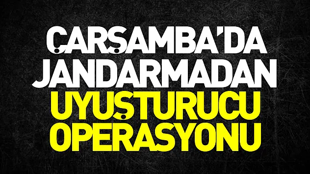 Jandarmadan uyuşturucu operasyonu