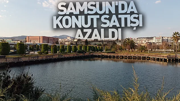 Samsun'da konut satışı azaldı