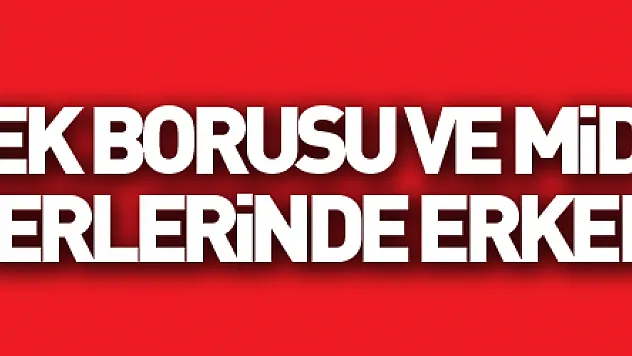 Yemek borusu ve mide-bağırsak kanserlerinde erken tanı önemli