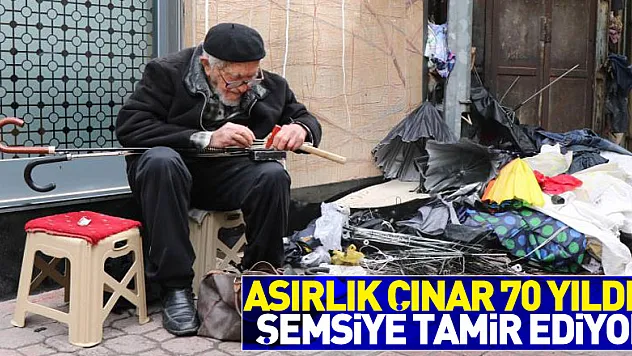 Asırlık çınar 70 yıldır şemsiye tamir ediyor 