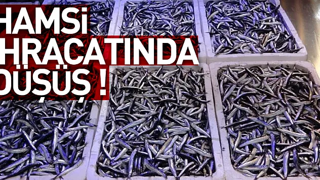 Hamsi ihracatında düşüş !