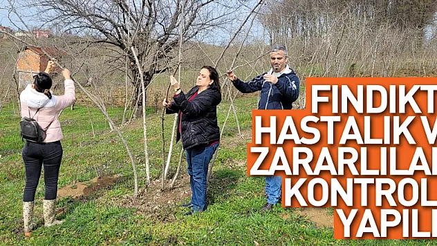 Fındıkta hastalık ve zararlıları kontrolü yapıldı