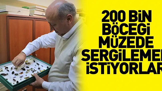 10 yılda topladıkları 200 bin böceği müzede sergilemek istiyorlar