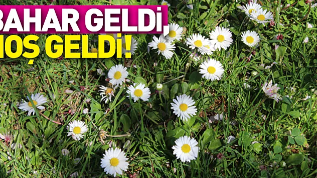 BAHAR GELDİ, HOŞ GELDİ!