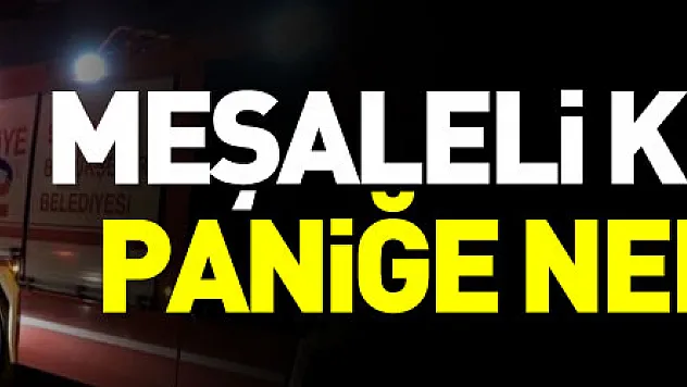 Meşaleli doğum günü kutlaması paniğe neden oldu