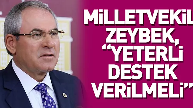 Milletvekili Zeybek, 'Yeterli destek verilmeli'