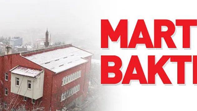 Mart kapıdan baktırdı: Kavak beyaza büründü