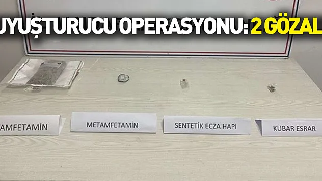 Jandarmadan uyuşturucu operasyonu: 2 gözaltı