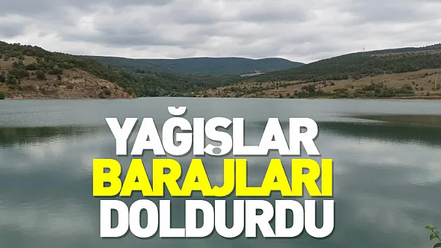 Samsun'da yağışlar barajları doldurdu