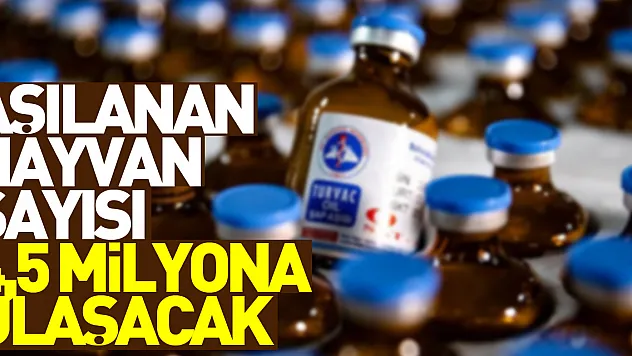 Yeni tip şap aşısı uygulanan hayvan sayısı bugün 4,5 milyona ulaşacak