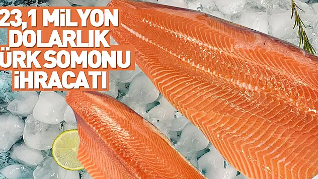 23,1 milyon dolarlık Türk somonu ihracatı