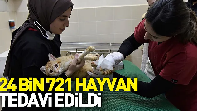 2022 yılında 24 bin 721 hayvan tedavi edildi