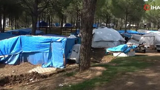 Evleri yıkılan aileler ormanı mesken tuttu: 'Kendimizi burada güvende hissediyoruz'