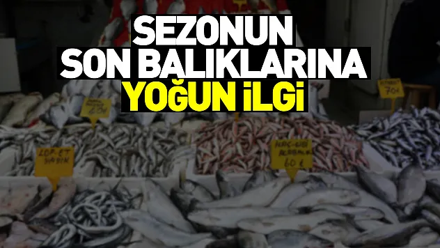 Sezonun son balıklarına yoğun ilgi
