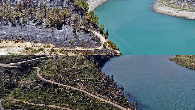 Cumhuriyet tarihinin en büyük yangınından sonra griden yeşile dönüş