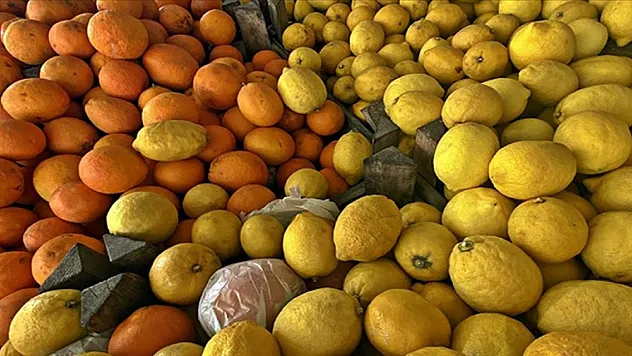 Narenciye ihracatında yılın ilk çeyreğini mandalina ve limon sırtladı
