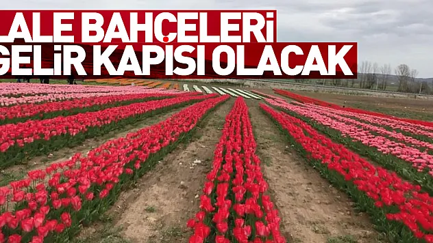 kartpostallık lale bahçeleri gelir kapısı olacak