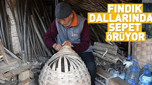 Fındık dallarından sepet örüyor