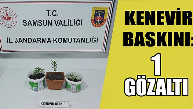 Kenevir baskını:1 gözaltı