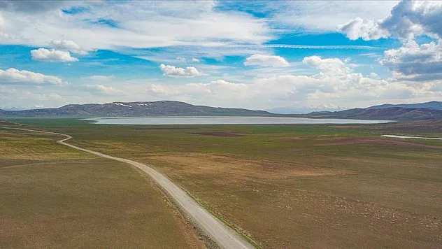 Van'da yazın kuruyan Akgöl, son yağışlarla eski görünümüne kavuştu