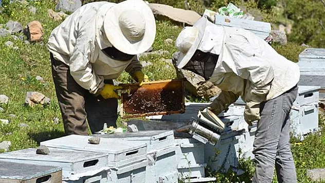 Arı üreticilerine 2003'ten bu yana 1 milyar liranın üzerinde destek sağlandı