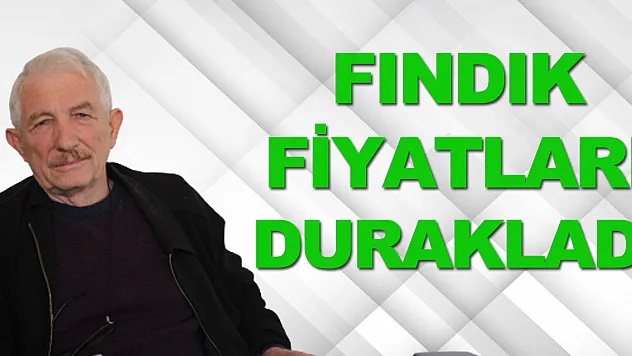 FINDIK FİYATLARI DURAKLADI