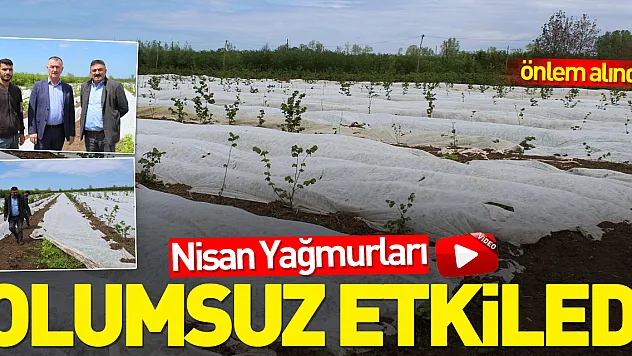 NİSAN YAĞMURLARI OLUMSUZ ETKİLEDİ