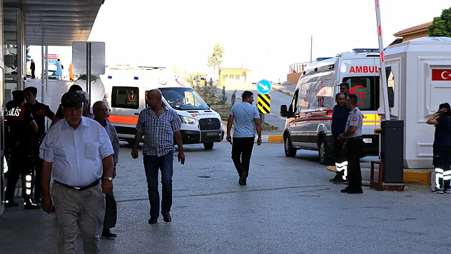 Arı sokmasına dikkat !  alerjik reaksiyonlar ölüme sebep olabilir