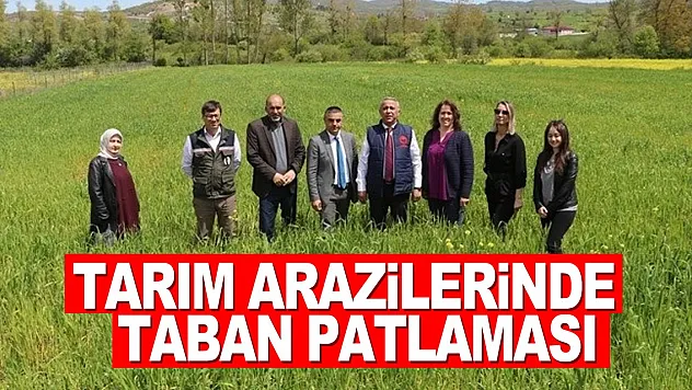 Tarım arazilerinde taban patlatmasının önemi