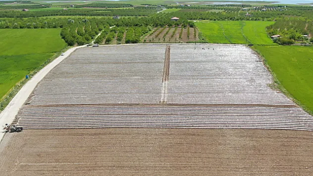 Deprem tarımı da vurdu, mevsimlik işçi bulunamıyor