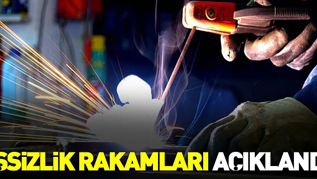 İşsizlik rakamları açıklandı