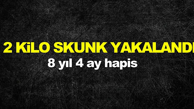 Samsun'da 2 kilo 589 gram skunk ile yakalanan 1 kişiye 8 yıl 4 ay hapis