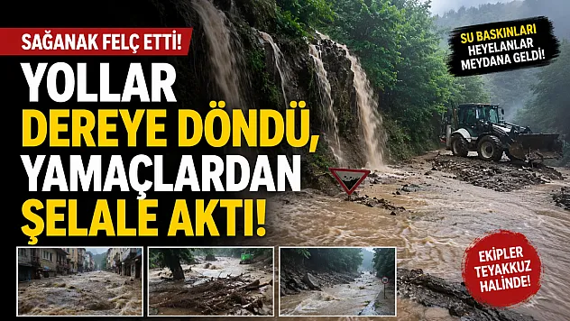 Köy Yolu Dereye Döndü