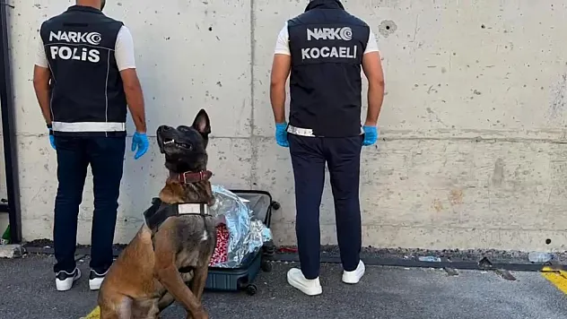 Narkotik köpeği affetmedi ve valizdeki 21 bin uyuşturucu hap yakalandı