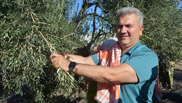 AB tescili için çabalar sürüyor