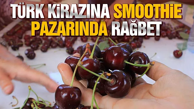 ABD ve Avrupa Sultandağı kirazı istiyor