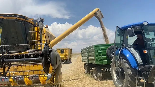 Adilcevaz'da Buğday Hasadı Başladı! 150 Bin Dekarlık Tarlada Bereket Mesaisi