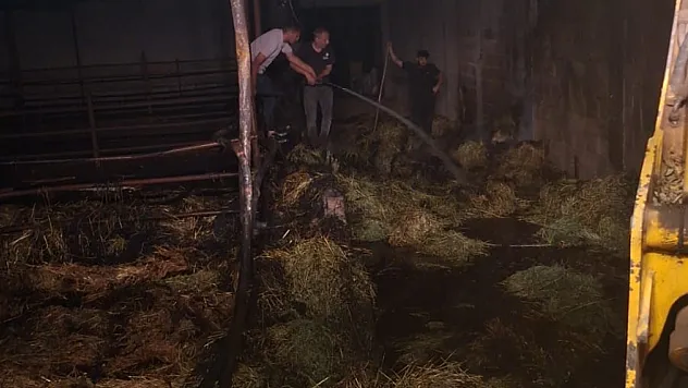 Afyonkarahisar'da  3 kamyon saman yandı