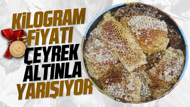 Ağaç kovuğundan çıkıyor, kilosu 15 bin liraya satılıyor
