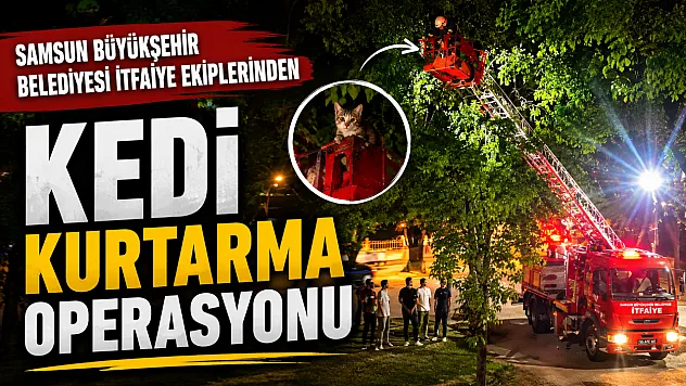 Ağaçta Mahsur Kalan Kediyi İtfaiye kurtardı
