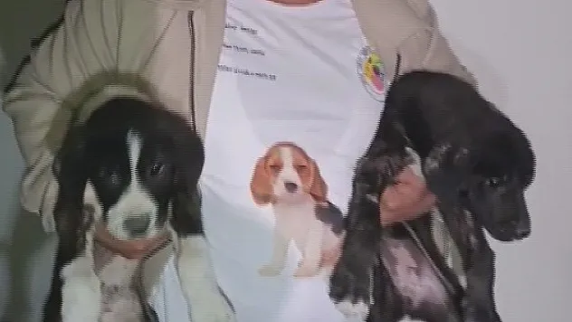 Ağır hasarlı binaya girip iki yavru köpeği kurtardı