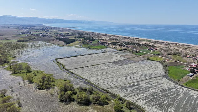 Alaçam'da masalsı manzara! Doyran'da su papatyaları açtı