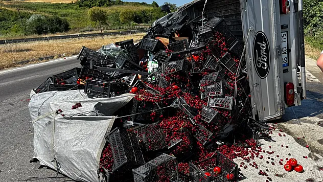 Alaçam'da Meyve Yüklü Kamyonet Devrildi: 1 Yaralı