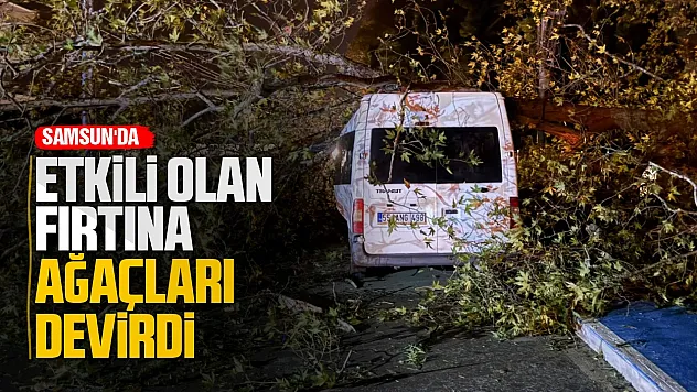 Alaçam'da şiddetli rüzgar nedeniyle devrilen ağaç minibüsün üzerine düştü