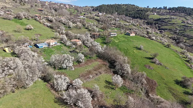 Alaçam'ın zirvesinde bahar kartpostalı
