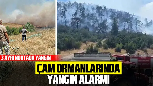 Alevler Evlerin Sınırına Dayandı!