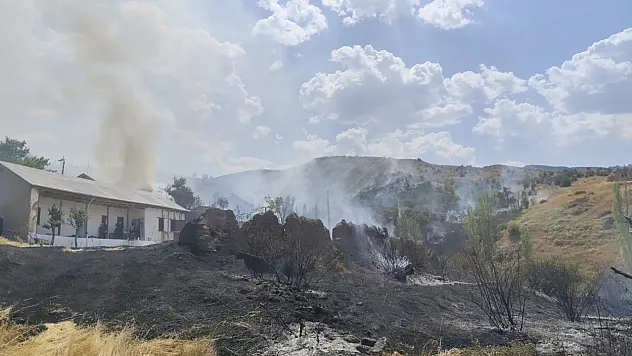 Alevler ormana sıçramadan kontrol altına alındı