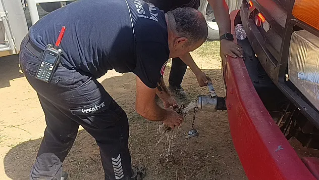 Alevlerden kaçan kaplumbağayı ekipler kurtardı