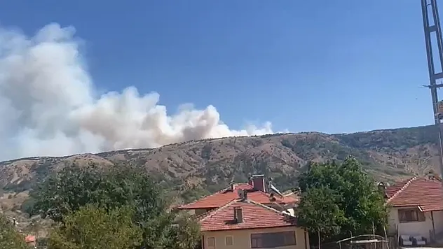 Ankara-Çankırı sınırında orman yangını